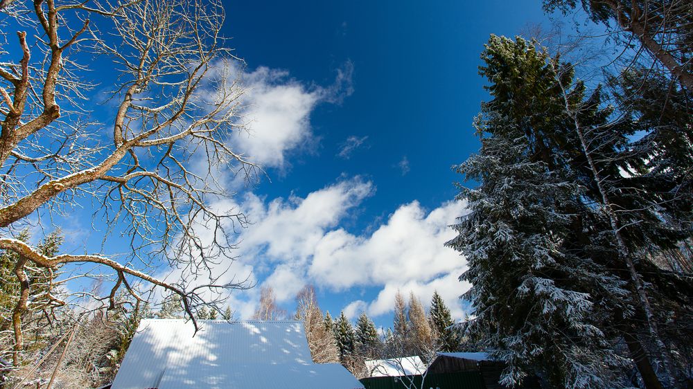 Mírná zima a brzké jaro, slibují meteorologické modely